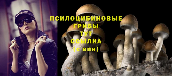а пвп мука Козловка
