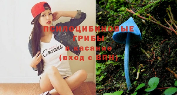 твердый Кодинск