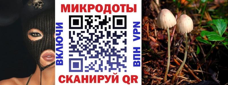 Галлюциногенные грибы MAGIC MUSHROOMS  Купить закладки  Ступино 